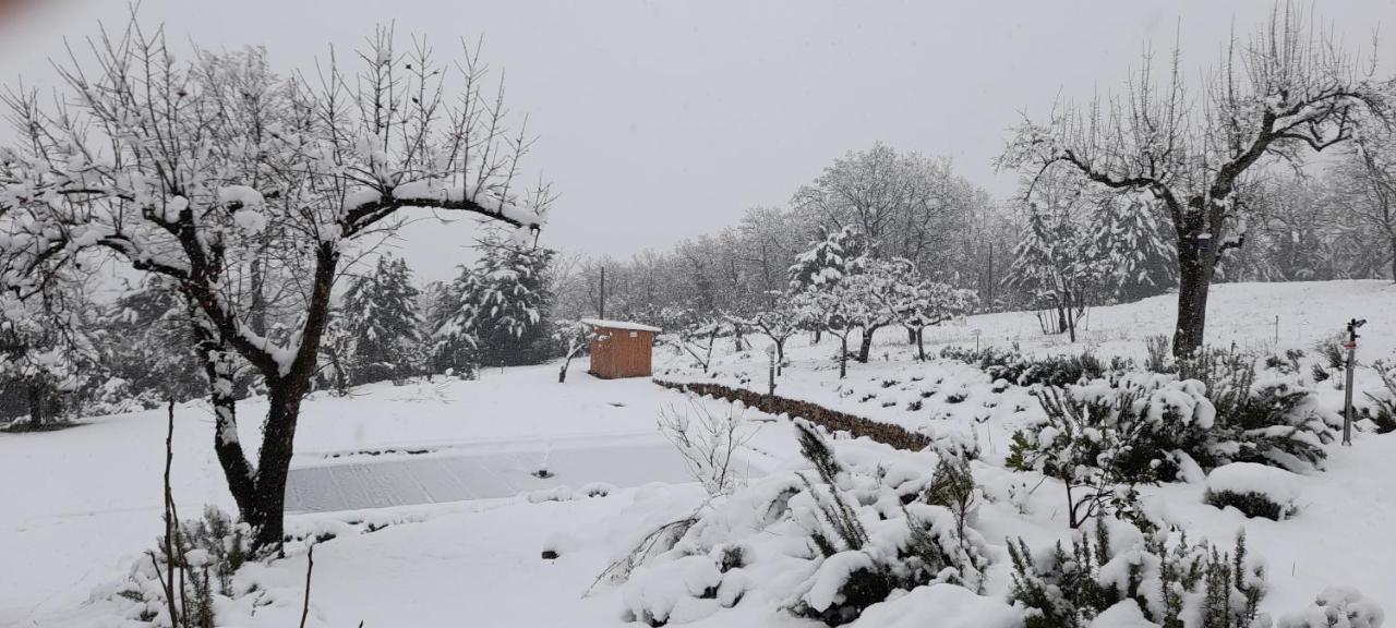 Masseria Boutique