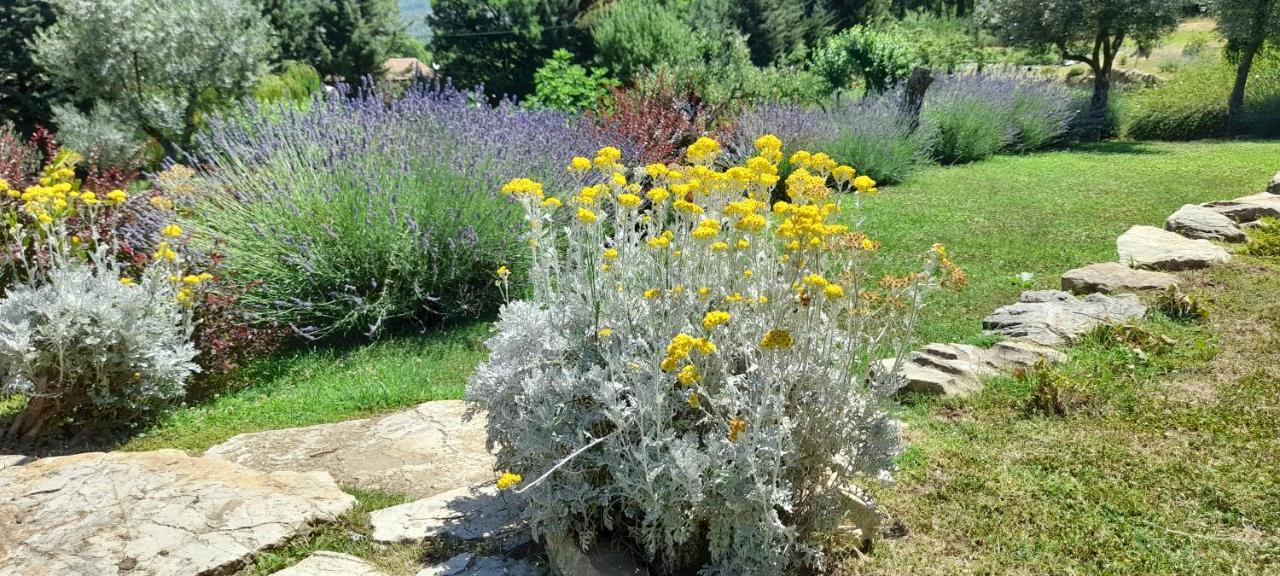 Masseria Boutique Frühstückspension